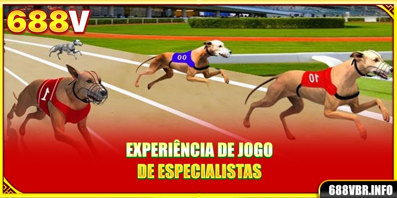 Experiência de jogo de especialistas